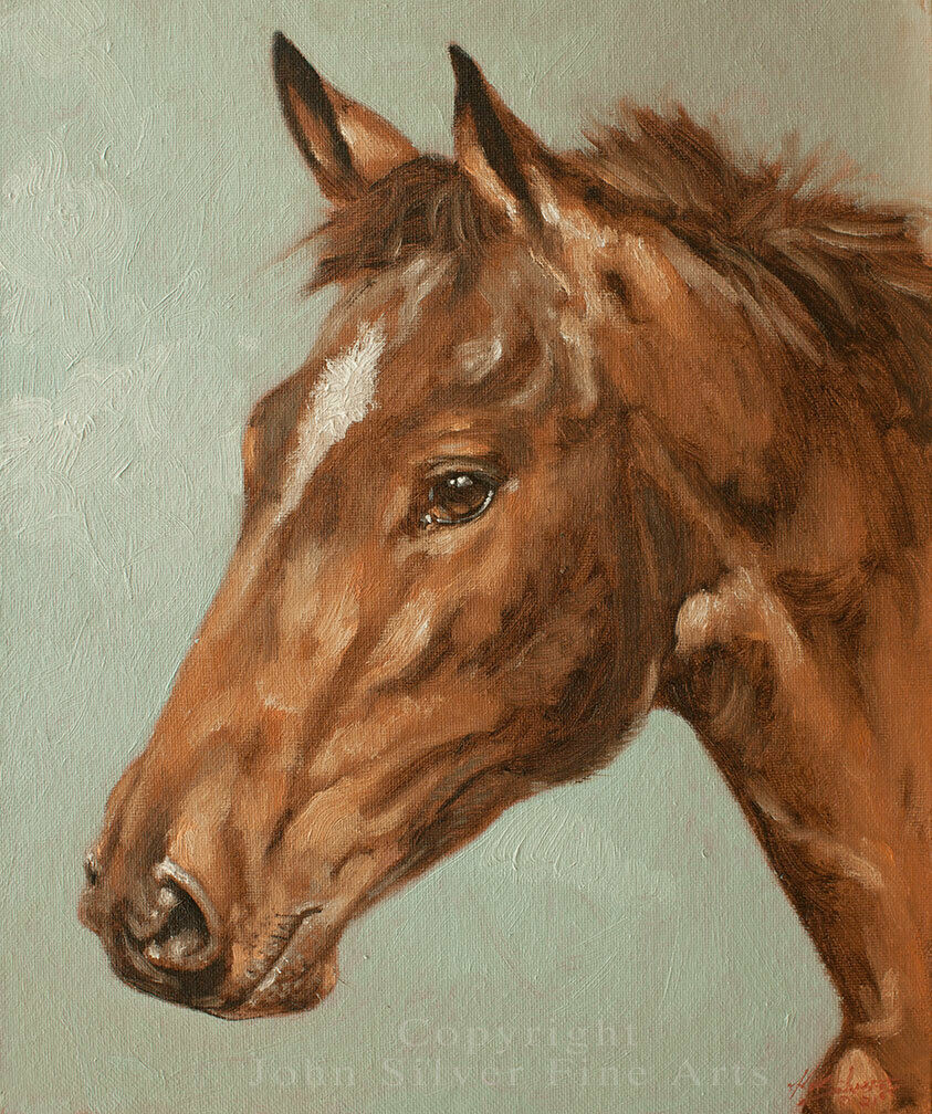 HORSE PORTRAIT ORIGINAL OIL PAINTING 10 x 12 inch by UK Artist JOHN SILVER BA